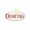 demetra-logo (1)